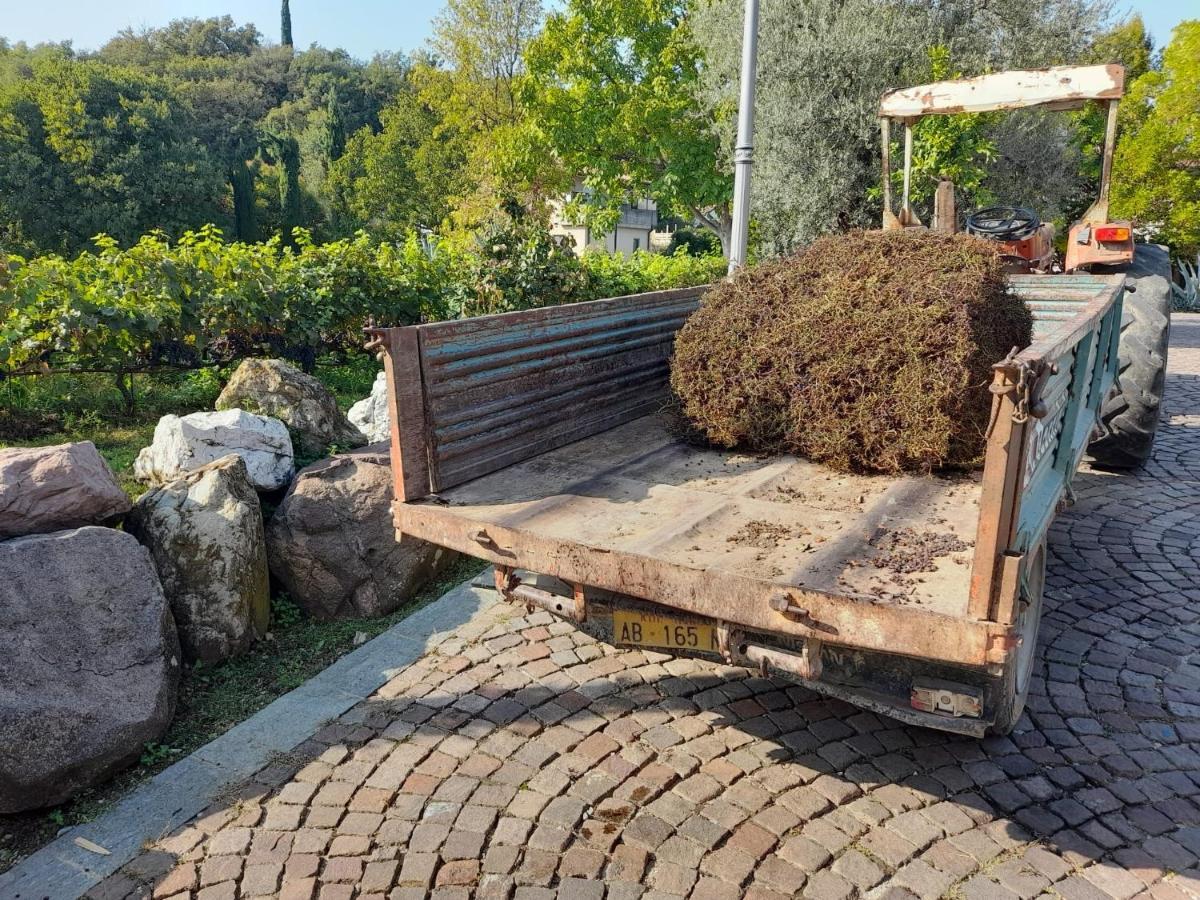 Casa El Paso Lejlighed Padenghe sul Garda Eksteriør billede